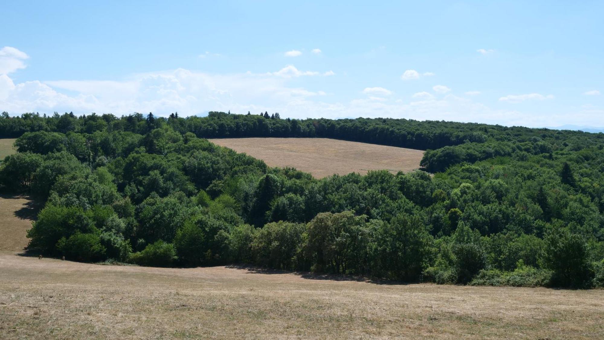 Maison Avec Vue Sur Le Lac De Montbel Exteriör bild